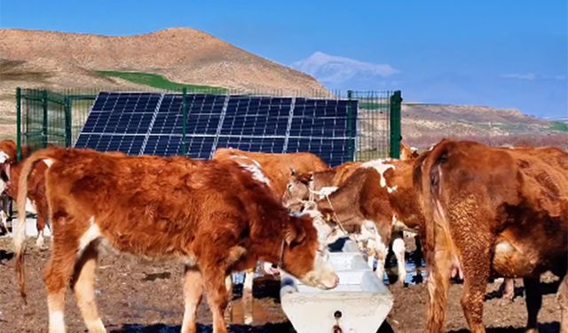 Batman'da atıl su kuyuları yeniden işlevsel hale getirildi