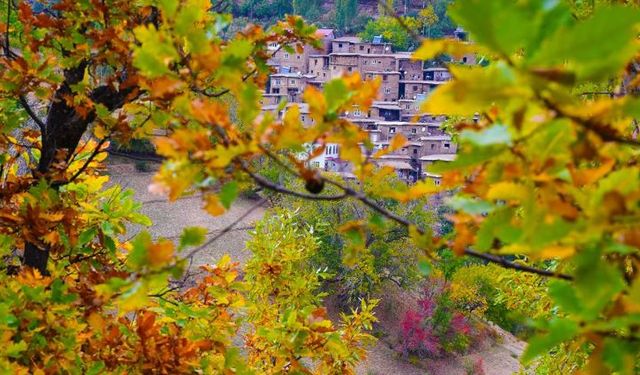 Bingöl’de 3 günlük liste açıklandı! Adresleri belli oldu...