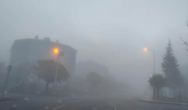 Bingöl’de yoğun sis görüş mesafesini düşürdü