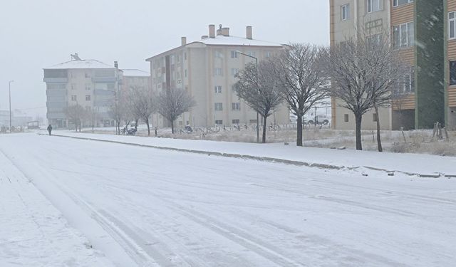 Bitlis’te 35 köy yolu ulaşıma kapandı
