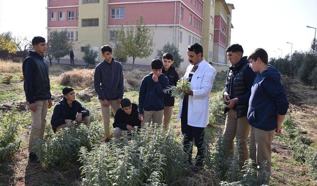 Uygulama bahçesinde tarımı öğrenen öğrenciler alternatif ürün yetiştirilmesine öncülük edecek