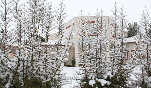 Dicle Üniversitesinde eğitime yarın da ara verildi