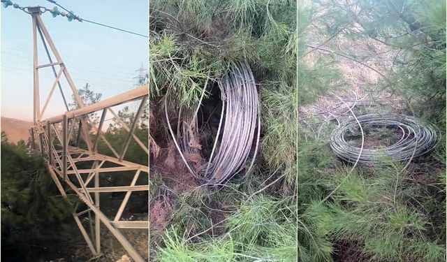 Direk hırsızları bölgeyi elektriksiz bıraktı