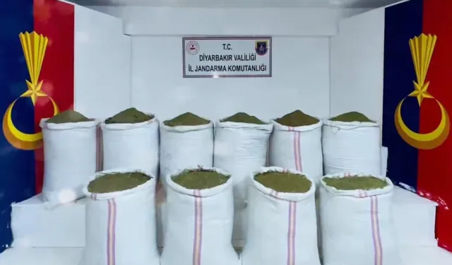 Diyarbakır, Van, Şanlıurfa... 345 gözaltı