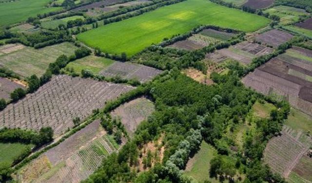 Diyarbakır'da arazi toplulaştırma askı süreci başladı