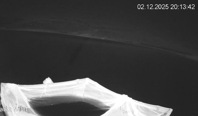 Elazığ'da nesli tehlike altındaki su samuru görüntülendi