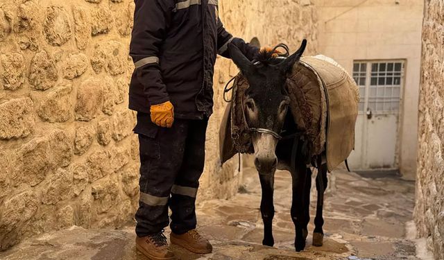 Komşu ilin "kadrolu eşekleri" emekliye ayrılıyor
