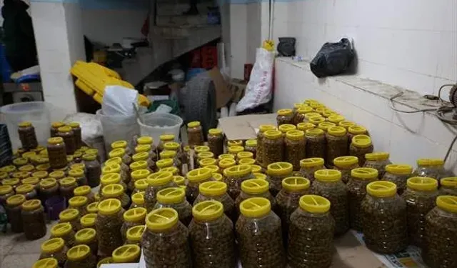 Fare leşlerinin tespit edildiği işletmeye verilen cezaya ilişkin Valilikten açıklama