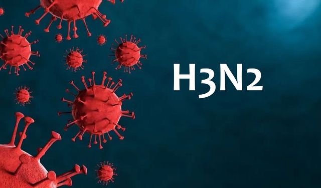 H3N2 virüsü nedir?