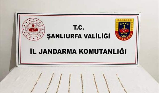 Jandarmadan kent genelinde eş zamanlı baskın: 13 gözaltı