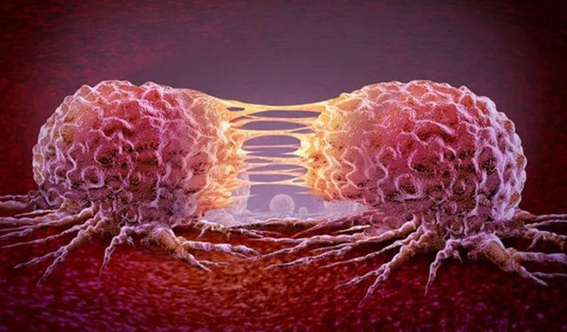 Kanser riskini artıran gıdalar: Uzmanlar uyardı