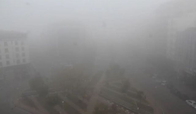 Kars'ta sis etkili oldu: Görüş mesafesi 20 metreye düştü