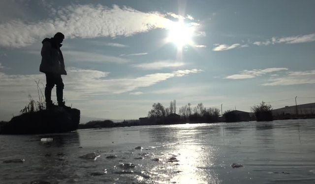 Kars’ta soğuk hava etkisini artırdı: Bitkiler kırağıyla kaplandı