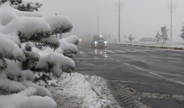 Kars’ta yoğun sis: 2 uçuş iptal edildi