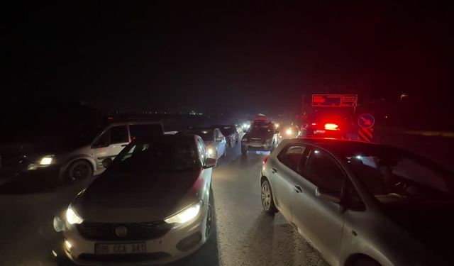 Malatya’da kaza: 6 safkan Arap tayı telef oldu