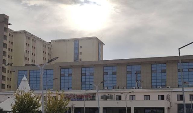 Mardin'de ata çarpan sürücü, Diyarbakır'da hayatını kaybetti