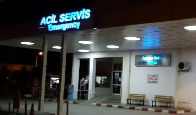 Mardin’de otomobil barakanın üstüne devrildi: 2 yaralı