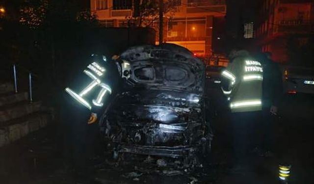 Mardin'de park halindeki otomobilde yangın paniği