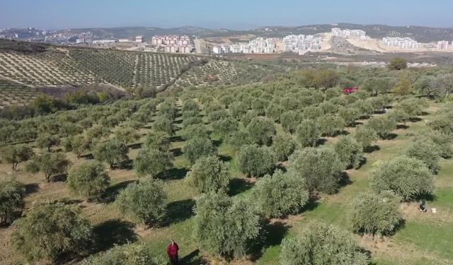 Muhtarın girişimi mahalleye iş kapısı oldu: 50 kişilik istihdam