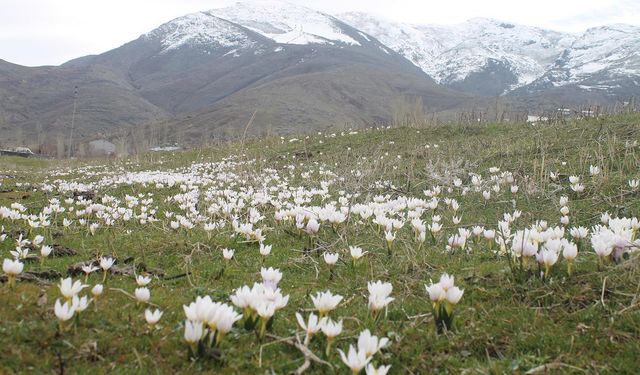 Muş ve ilçelerine 3 günlük planlı uyarı... Adresleri de açıklandı