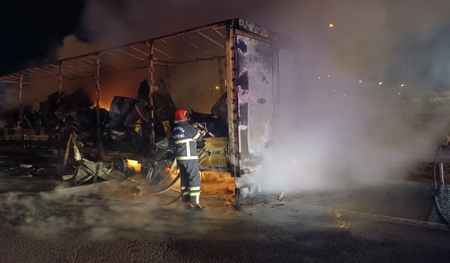 Şanlıurfa’da beyaz eşya yüklü tır yandı