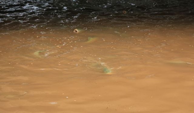 Şanlıurfa'da "İşten atıldım" diyerek suya atladı