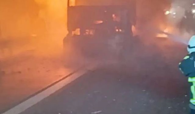 Şanlıurfa'da seyir halindeki beyaz eşya yüklü TIR alev aldı