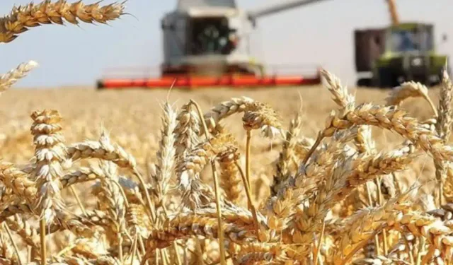 Tarihte ilk kez 3 milyar tonu aşacak! Gıda fiyatları düşecek mi?