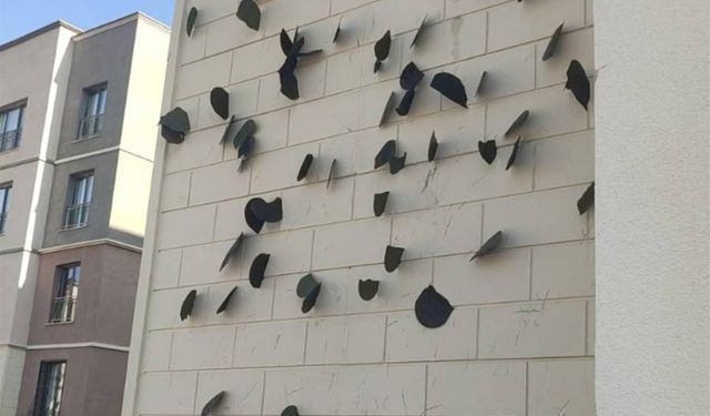 Diyarbakır’daki TOKİ Deprem Konutlarının dış cephelerini hedef tahtası yaptılar