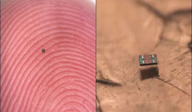 Tuz tanesi kadar robot: Algılıyor, düşünüyor, hareket ediyor