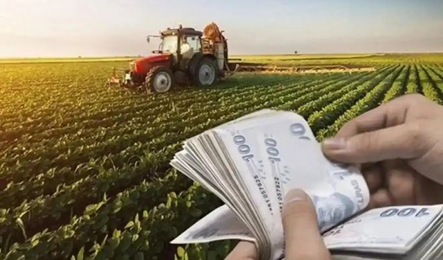 Üreticilere 376,8 milyon lira destek ödemesi yapıldı