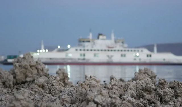 Van Gölü'nde eşsiz mikrobiyolitler ortaya çıktı
