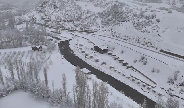 Van, Hakkari, Bitlis ve Muş'ta kar nedeniyle 925 yerleşim yerinin yolu kapandı