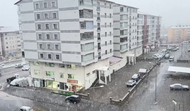 Van ve Bitlis’te kar yağışı etkili oldu