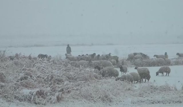 Van’da çobanlar kar sürpriziyle mücadele etti