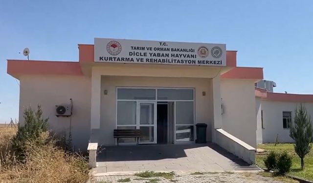 Diyarbakır'daki merkez, ampute edilen hayvanlara yuva oluyor