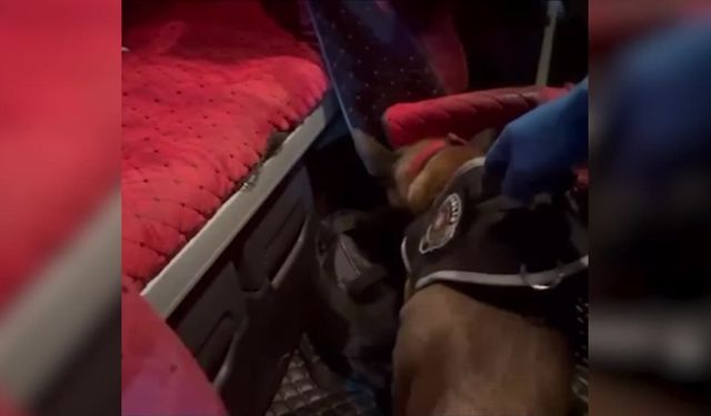 Adana’da tırda narkotik madde ele geçirildi