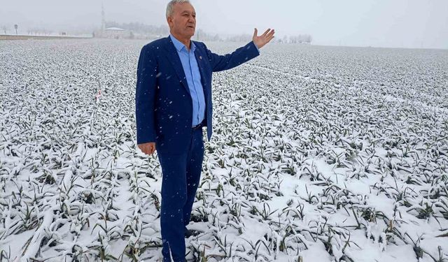 Araban'da kar bereketi: Sarımsakta yüksek verim beklentisi