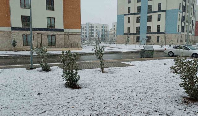 Araban’daki kar yağışı çiftçiye umut oldu