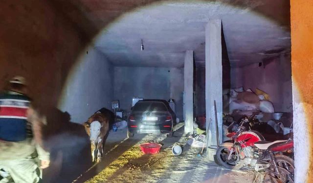Çalıntı lüks otomobil ahırda bulundu