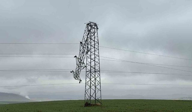 Derik'te gerilim hattındaki destek üniteleri çalındı