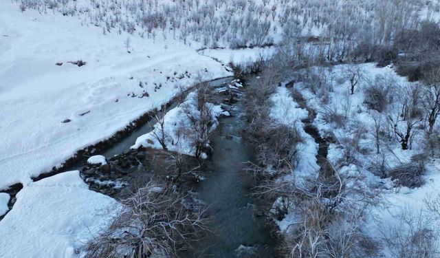 Şırnak'ta soğuk hava nedeniyle dereler buz tuttu
