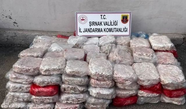 Şırnak'ta geçen yıl çok sayıda narkotik madde ele geçirildi