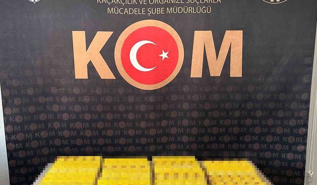 Şırnak'ta kaçakçılık operasyonu: 53 gözaltı