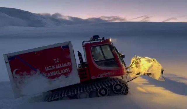 Ağrı'da kardan kapanan köyde 2 çocuk hastaneye ulaştırıldı