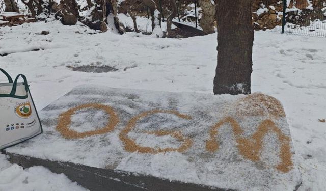 Batman’da karla kaplanan alanlara yem bırakıldı