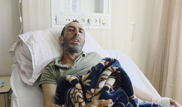 Bingöl’de domuz saldırısında yaralandı