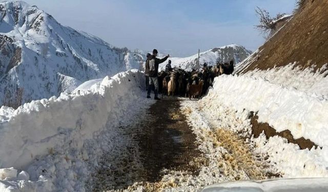 Bingöl'de hayvanlarıyla birlikte mahsur kalan vatandaş kurtarıldı