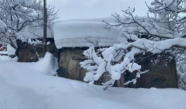 Bir garip kış! Batman'da 3 köy hariç tüm köy yolları kapandı