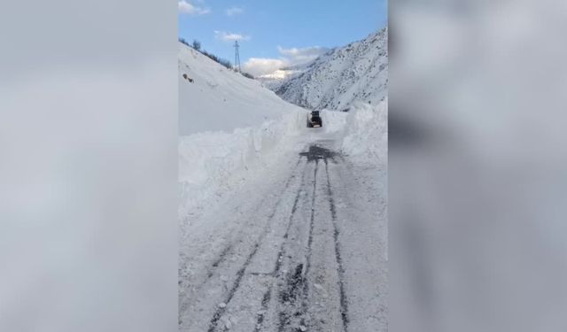 Çığın düştüğü Van-Çatak kara yolunda çalışmalar sürüyor